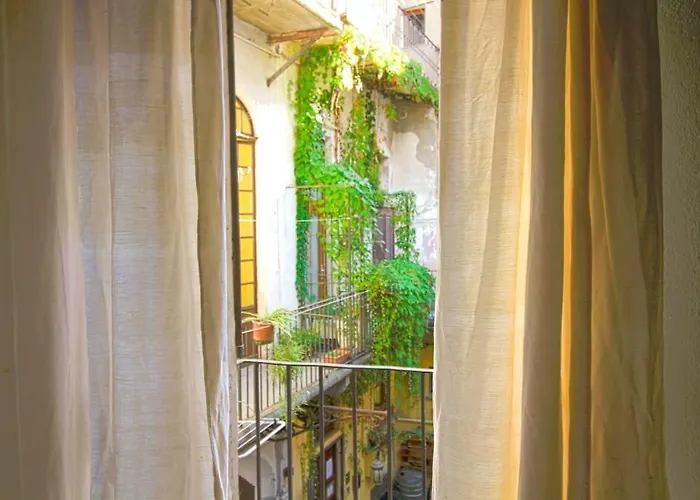 Il Sogno Di Maria Antonietta * Cuneo